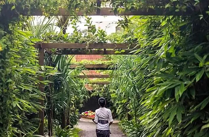 Blossom Eco Luxe By Ekosistem 5* BALI